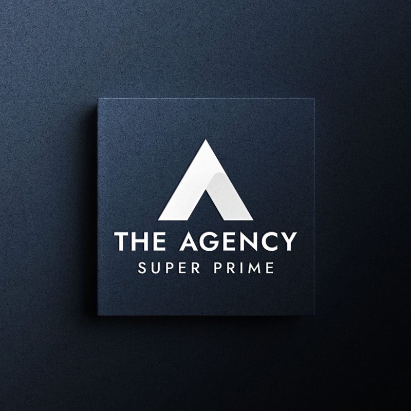 THE AGENCY